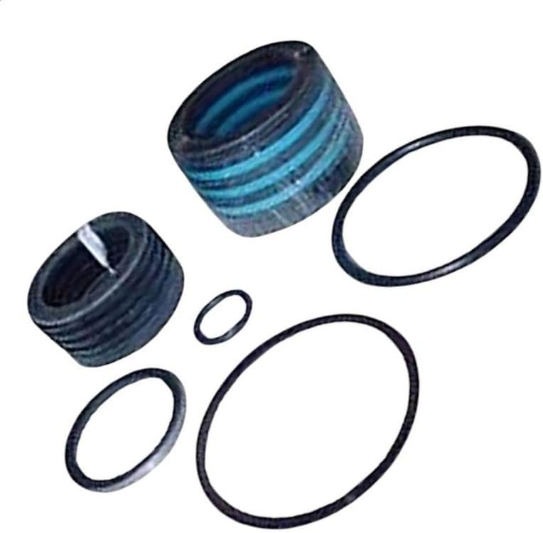 BRAIN DUMP -701-702-703-712-LOADER Hydraulic Lift Cylinder Seal Kit 309560 Compatible with Ford 251164, 251164-A, 309560-A, 309957, 309957-A
