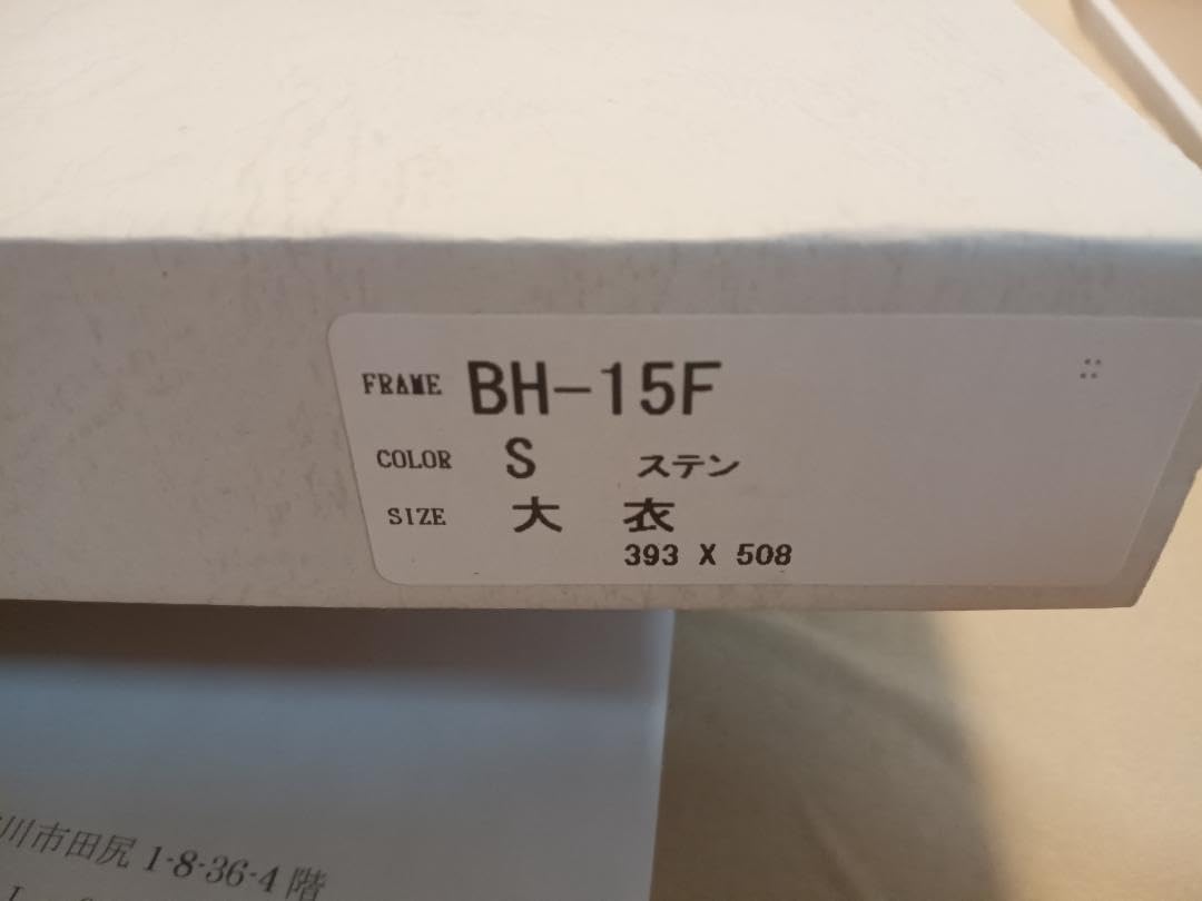 Amazon.co.jp: 杉菜水姫 Innocent Grey イ 展 濡鳥 複製原画 : おもちゃ