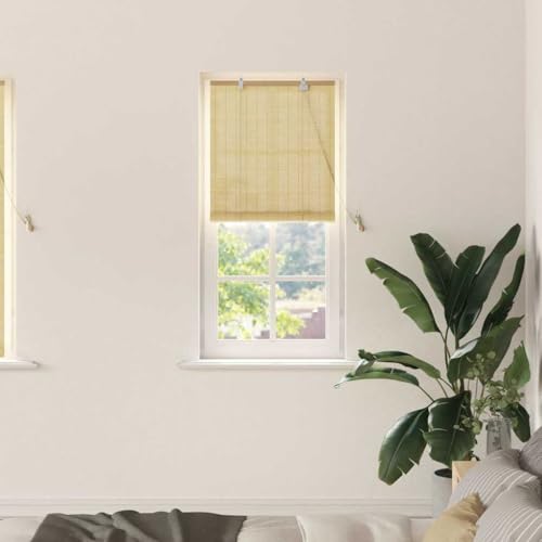 Estor enrollable con cortinas de bambú natural, 60 x 160 cm, estor enrollable para ventanas, filtro de luz con protección UV, protección visual para interiores, fácil de limpiar, incluye dispositivo