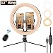 Produktbild Ringlicht Mit Stativ, 12"/ 30cm Ringlicht, 3 Beleuchtungsmodi und 10 Einstellbarer Helligkeit, Bluetooth-Empfänger für YouTube Vine Self-Porträt der Videoaufnahme