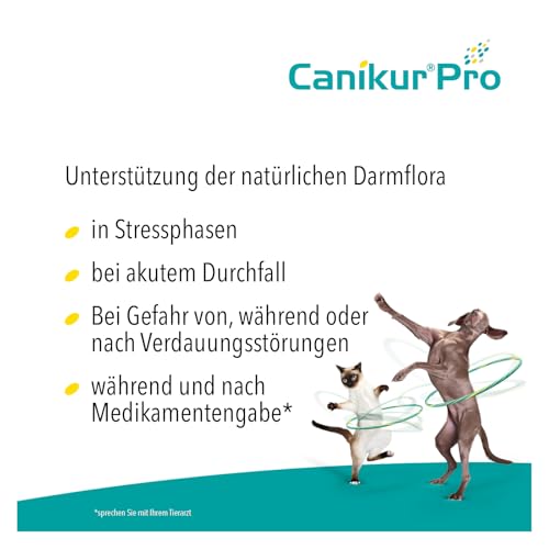 Boehringer Ingelheim Canikur Paste | Doppelpack | 2 x 30 ml | Diät-Ergänzungsfuttermittel für Hunde und Katzen | Kann dabei helfen die natürliche Darmflora zu unterstützen