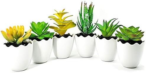 WsCrafts Set of 6 Mini Artificial Succulent Plants Potted - Shatterproof Imitation Ceramic White Fake Succulents Plants Potted for Home Office Shelves Decor