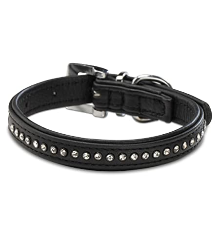 Hundehalsband aus Echt-Leder mit Strasssteinen/Kristall besetzt – funkelndes Hunde und Katzen Halsband aus gepolsterten und doppellagigen Büffelleder - Lederhalsband Audrey (M (24.5-32.5cm), Schwarz)