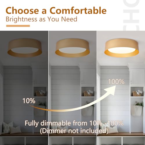 Image of Bargeni 16.5 inch Gold Flush Mount Ceiling Light, LED Ceiling Fixture