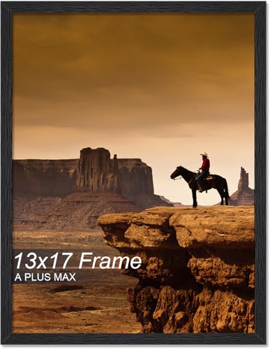 A PLUS MAX 13x17 Picture Frame Black Light Weight Wall Mount