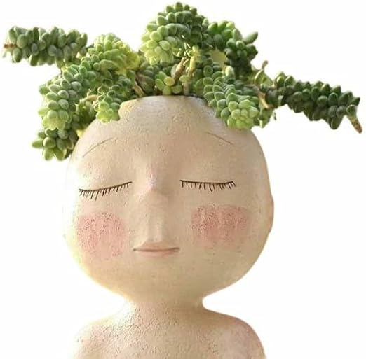PotSonntag Face Planter Pots Head Planter, Succulent