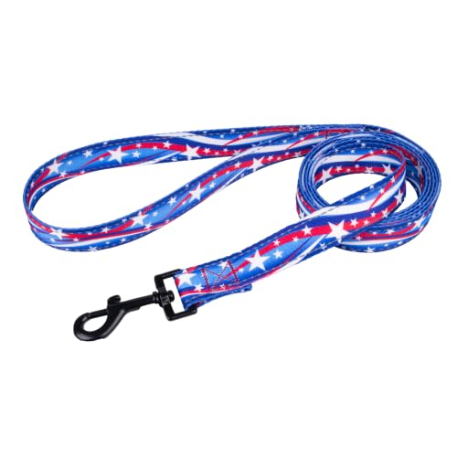 Country Brook Petz - Star Spangled Reflective Dog Leash - Americana Collection Featuring Night Safe Designs (4 Foot, 5/8 Inch Wide)
