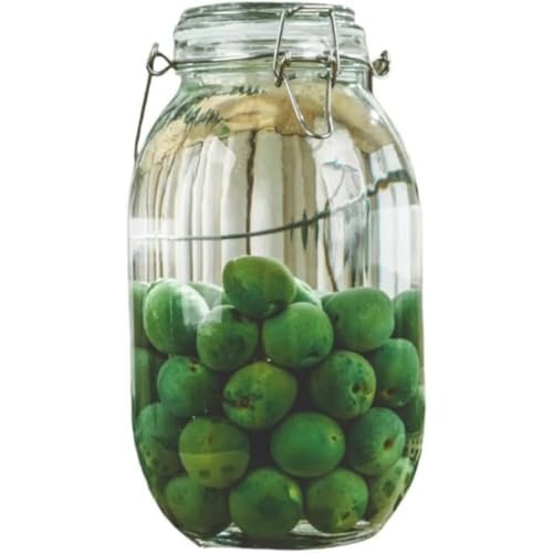 FiveLn ~ r KXт ʎт 2L/3L/4L/5L eʐHiۑe KX r e LjX^[ R[q[ t ۑe ʎ Â (3L,ی^) [sAi]