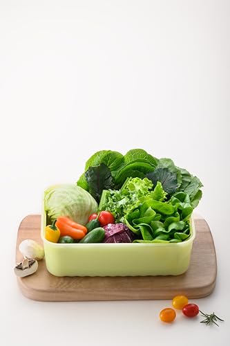 Image of LocknLock Fresh-Block Plastic Food Storage Container | Produce Storage Containers for Fridge | Vegetable & Fruit Storage Containers for Fridge, Storage, Microwave & Dishwasher Safe 330ml