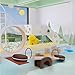 Stilt Board for Children, Indoor Kindergarten,Children's Indoor Stilt Board Early Education Center Playground Kindergarten Multiplayer Amusement Equipment Outdoor Toys Stilt Board A1