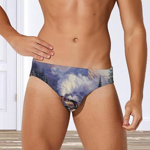 Steam Train Mens Swim Briefs Sexy Bikini Swimwear Bathing Suits Trunks4