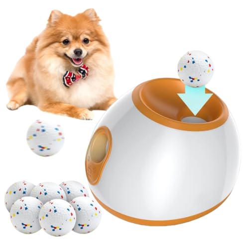 ejX`[A{[@Ap{[@Ãg[jOpAQ[A^ƒ^ɓKB (IW)