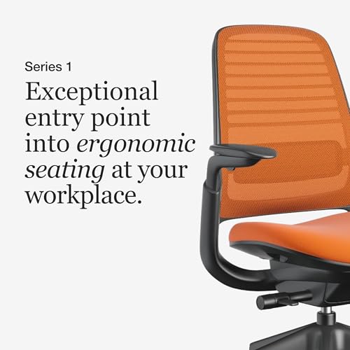Steelcase Leap V2 chair