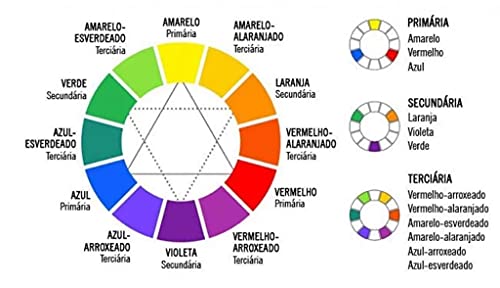 Color Whell Circulo Cromático, Multicor, 13cm