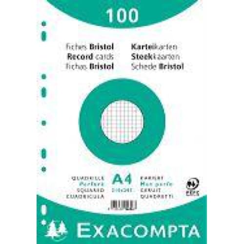 Lot de 10 100 fiches Bristol blanc 210x297 quadrillé 5x5 perforées sous film