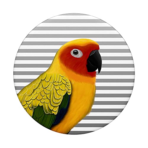 Conuro del Sole Uccello da Giardino Ornitologo