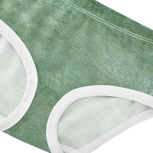 Sport Panties All Seasons Panties Organic Underpants for Toddlers in Sizes 2T,3T, 4T, 5T, 6Y and 8Y4