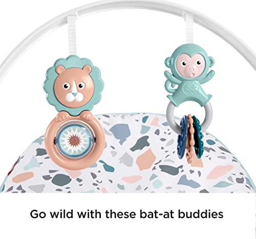 Fisher Price Cadeirinha Descanso Relaxante... glide