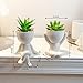 VENY TAYA 2 PCS Unique Artificial Plants Succulents Office Decor for Women and Men, Small Fake Plants with Human-Shaped Pots, Cute Faux Plants Indoor for Office or Home Decoration, White