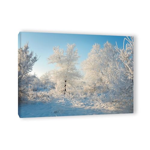 Impression sur toile paysage neige EYEZER, art moderne haut de gamme 40x55cm sur cadre