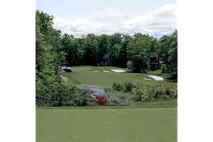 Outsidepride Creeping Bent Grass Putting & Golf Green Grass Seed: Crystal Bluelinks - 1 lb.