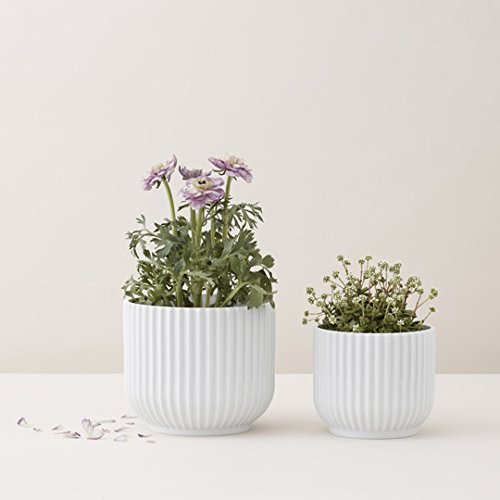 ftb planter Alzira Bowl Planter