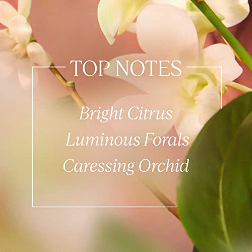 L'Occitane 12GD250NO22 L'Occitane Neroli & Orchidee Shower Gel: Enchanting Floral Scent thumb #3
