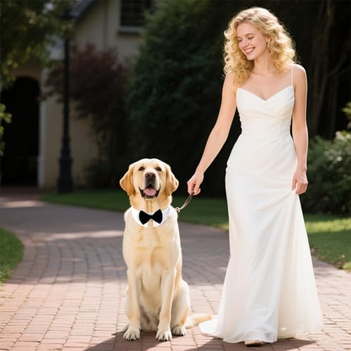 Fliege für Hunde, Hundeanzug Hochzeit Accessoire, Fliege Hund verstellbar, Hunde Fliege für Formelle Anlässe, Hochzeits-Kostüme, Party (L)