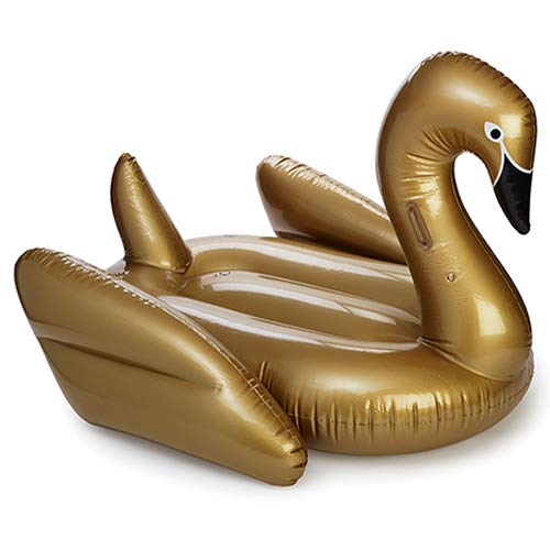 Gold Swan Float Tube Desertcart INDIA