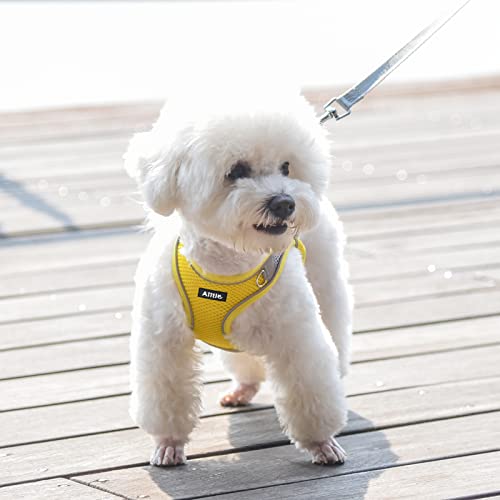 AIITLE No Pull Hundegeschirr, Step in einstellbares Hundegeschirr mit gepolsterter Weste, Hundeleine mit weichem gepolstertem Griff, leicht anzulegen für kleine und mittlere Hunde Gelb S