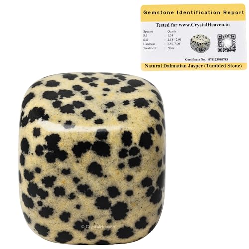 Image of Certified Dalmatian jasper Crystal Healing Tumbled Stone, Natural Polished Crystals for DIY Crafts, Manifestation, Meditation, Pooja Feng Shui and Reiki Healing (30 Grams)