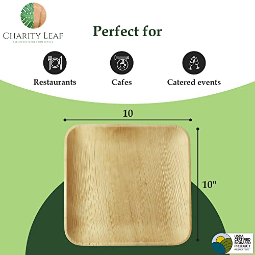 Charity Leaf Compostable 10" Square Palm Leaf Dinner Plates (50-Pack) | Premium, 100% Natural, Disposable, Eco Friendly, Heavy Duty | Perfect For Parties, Weddings, Bbqs, Charcuterie & Catering Events #TOP2
