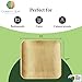 Charity Leaf 10" Square Palm Leaf Plates 200-pack Eco-Friendly 3