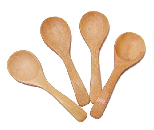 CandyHusky's Mini Wooden Spoons Condiments Salt Spoons Tembusu Wood (10) - //coolthings.us
