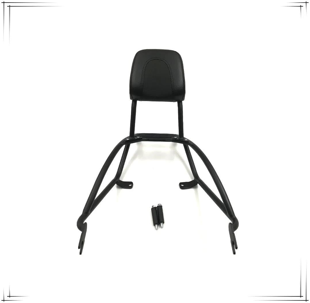Portapacchi Posteriore Ripiano Posteriore Per Motocicletta, Schienale Rinforzato, Portapacchi Passeggero Per Davidson Per Street Rod 750 2017-2020 Motociclo Portapacchi Posteriore