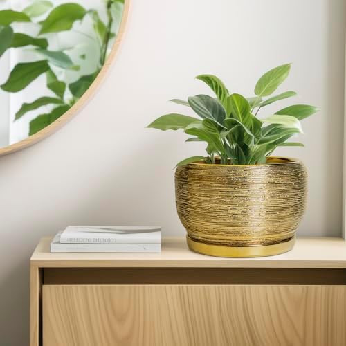 SQOWL Ceramic Planter for Indoor Plants - 10 Inch Plant Pot with Drainage Hole and Saucer, Modern Round Planter Outdoor, Large Decorative Flower Pot, Apartment Decor, Birthday Gifts, Gold — view 6
