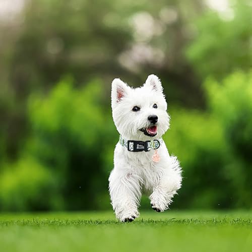 Image of Dog Collar-Cute Dill Print Adjustable Pet Collars Comfortable Spring Summer Cotton Puppy Collar Durable Gift for X-Small Dogs