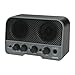 LEKATO Mini Guitar Amp Rechargeable Electric Guitar Amplifer 5W, Clean/Overdrive Channels,Portable Small Amp for Guitarist Practice,Black