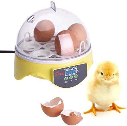 Mini Egg Brooder Egg Hatcher Egg Incubator, Egg Incubator and Hatcher for Chicken Birds Pigeon Quail Egg