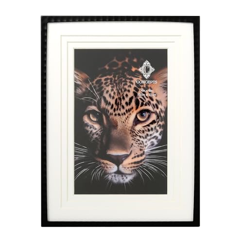 Concepts 6x8 gv}bg 4x6 NVbNubN^tHgt[ Ƒʐ^p - GKgȕǊ|Ƒ㑕