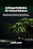 Anfängerleitfaden für Bonsai-Bäume: Erfahren Sie zum ersten Mal, wie Sie einen gesunden und dauerhaften Bonsai-Baum kultivieren, pflegen und erschaffen.