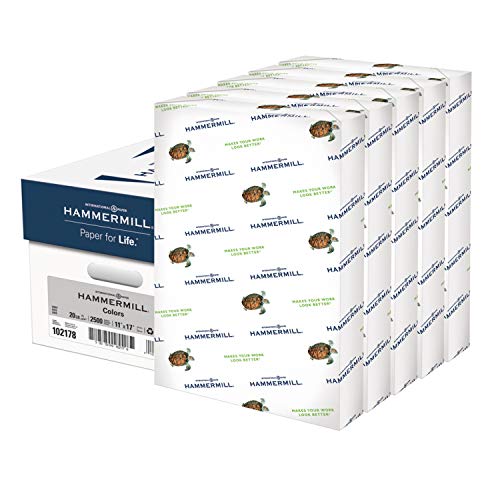 Image of Hammermill Colors Gray, 20lb, 11 inch x 17 inch, 2500 Sheets /5 Ream Case (102178C)