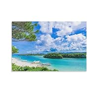 著名な写真家の作品パネル「Look at me 」　沖縄県石垣島の海中にて 著名な写真家の作品パネル「Look at me 」 沖縄県石垣島の海中