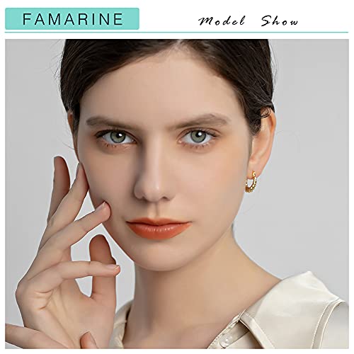 FAMARINE 14K Gold Plated Twisted Hoop Earrings for Women Small Hoops Chunky Earrings Gift2