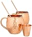 Hammered Moscow Mule Barware Gift Set - Two 16 ounce Pure Copper Mugs, Straws & Shot Glass Included - Luxury In-Home Bar Accessories w/ Recipe eBook Bonus