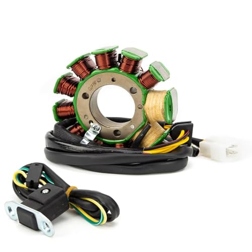 Stator d'allumage CB250 alternateur de rechange Nighthawk 1991-2008