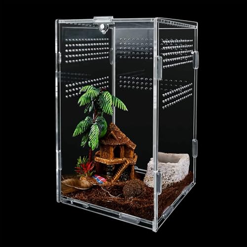 Faunarium Acryl Terrarium Insektenterrarium Allzweckbehälter für Reptilien und Amphibien für Sprungspinnen Vogelspinnen Schnecken Frösche und Insekten 12 x 12 x 20 cm