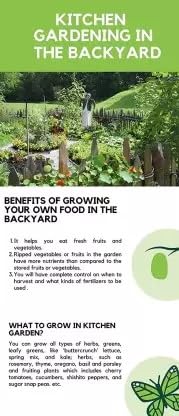 Infographic about kitchen gardening benefits