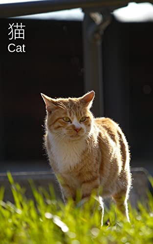 猫: 私の身近にいた野良猫達 (写真書院)