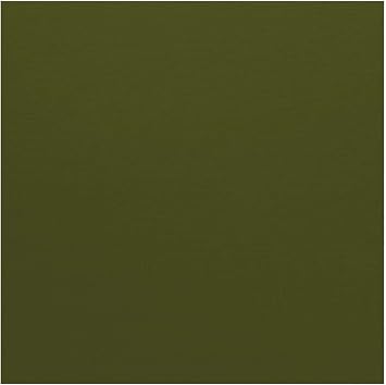 Bazzill Cardstock - 12 x 12 in. - Canvas Ivy 25 Sheets
